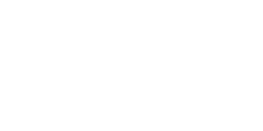 Shady VEU