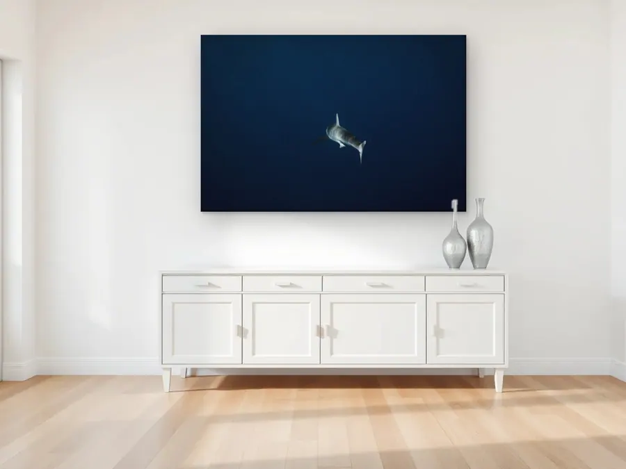 Lone Shark by Christian Lee as a canvas print on a living room wall