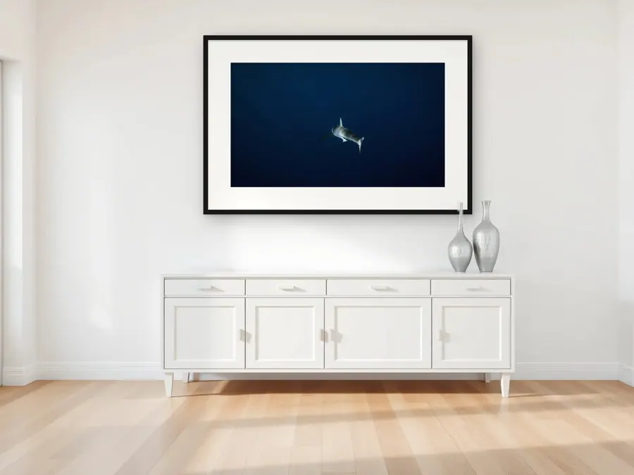 Lone Shark by Christian Lee as a fine art print on a living room wall