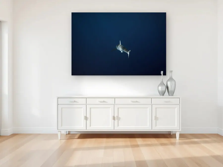 Lone Shark by Christian Lee as a aluminum print on a living room wall