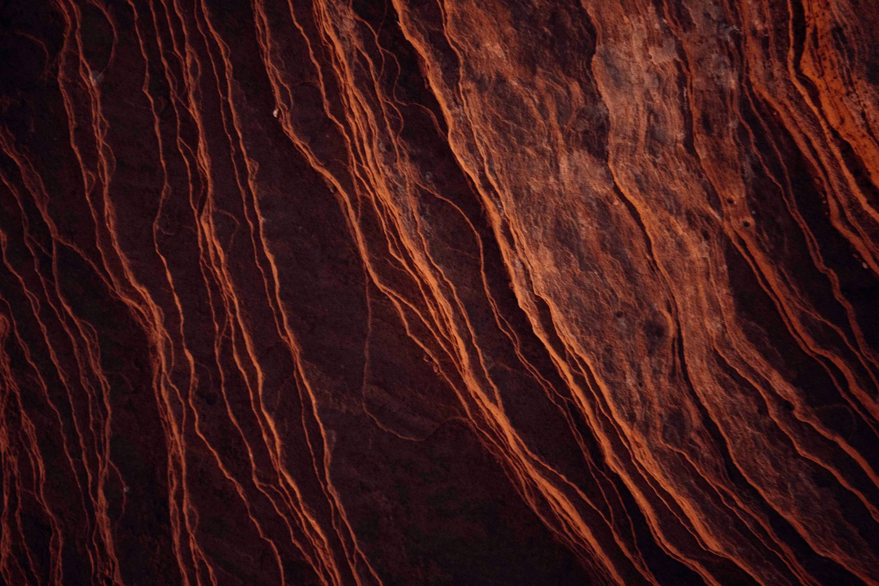 Red Century by Chris Ruel