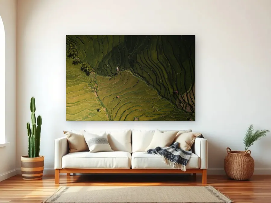 Indo Fields by Christian Lee as a aluminum print on a living room wall