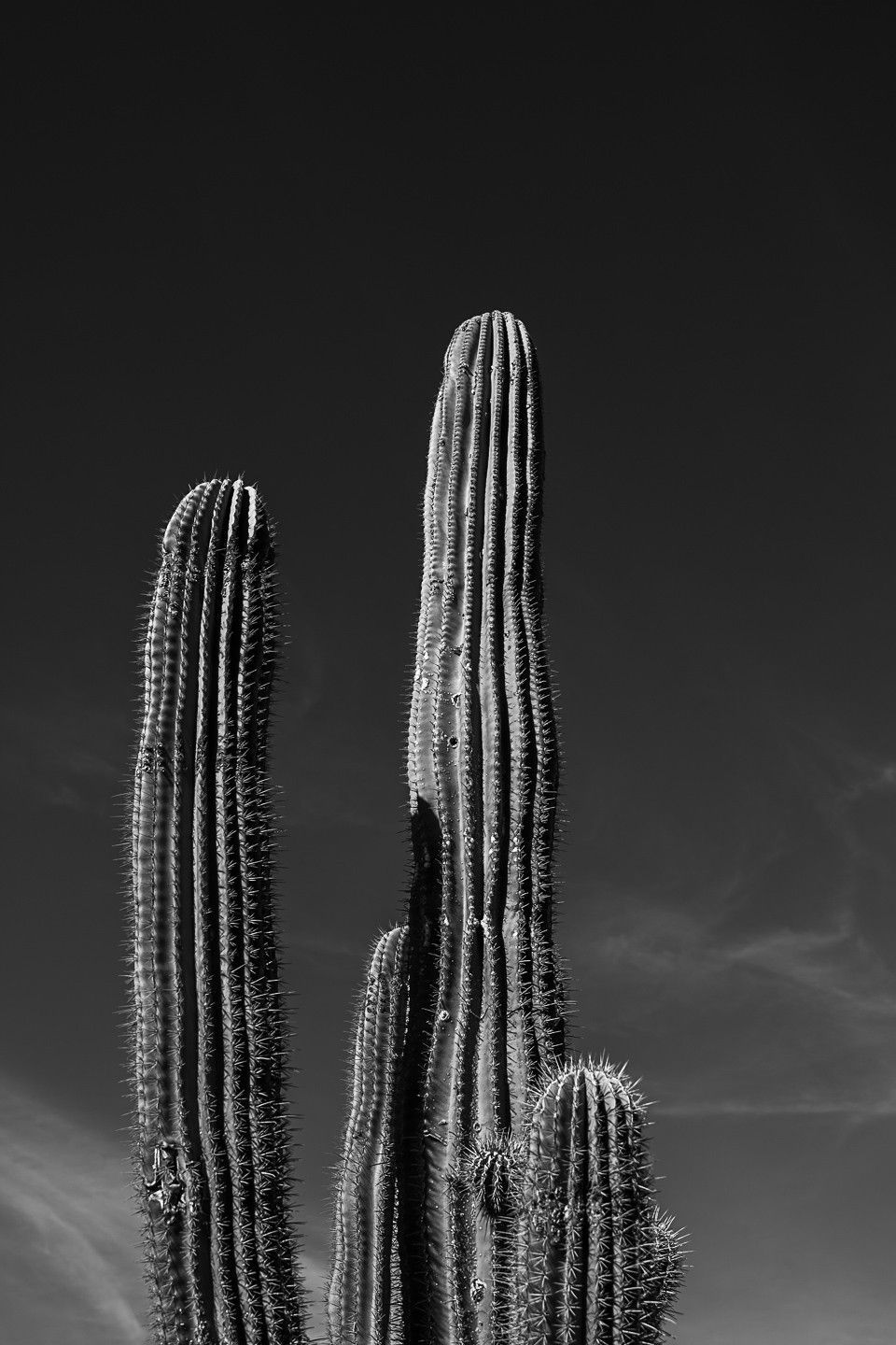 Monochrome by Christian Lee