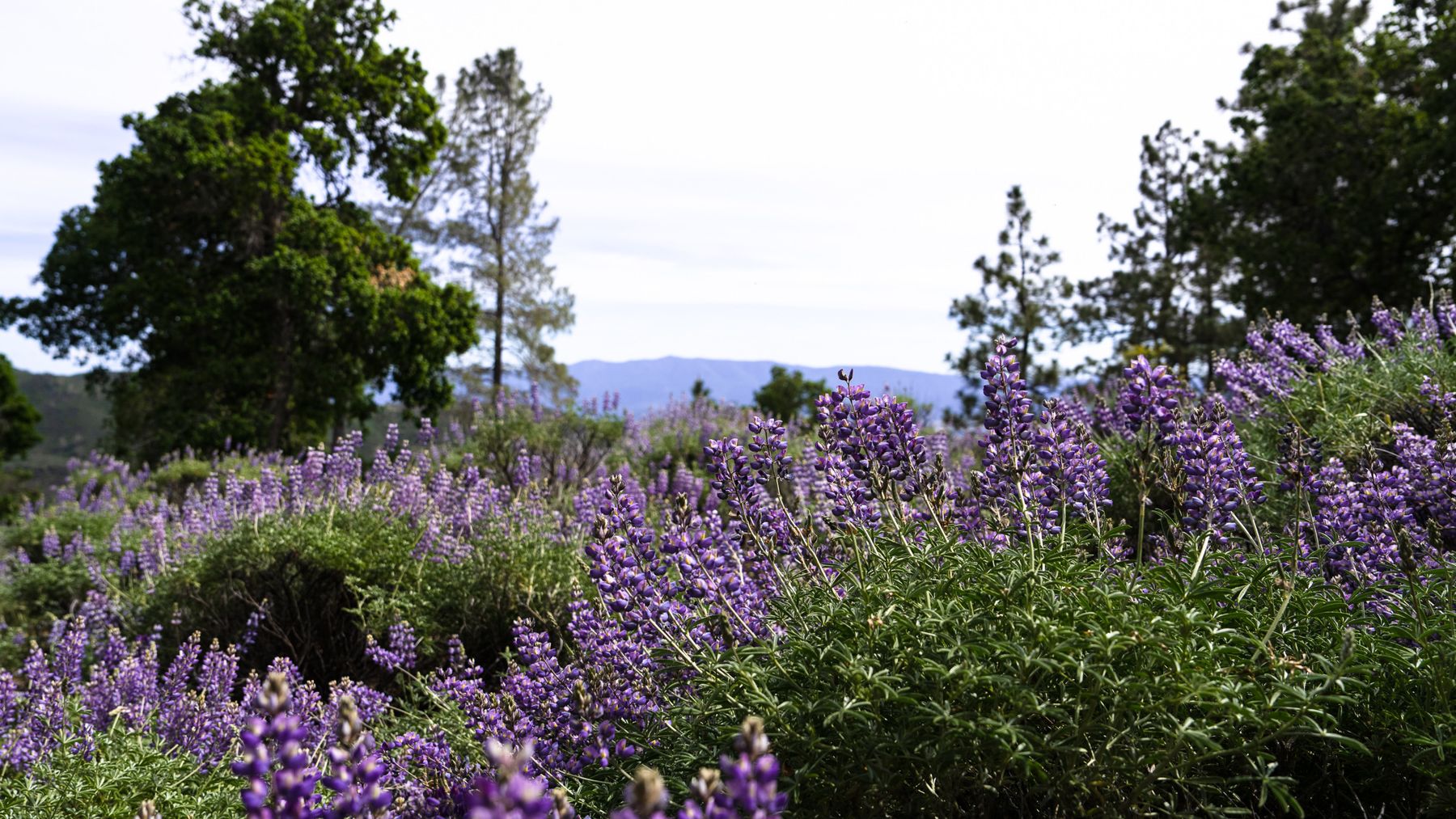 Landscape photograph by Farren Hill