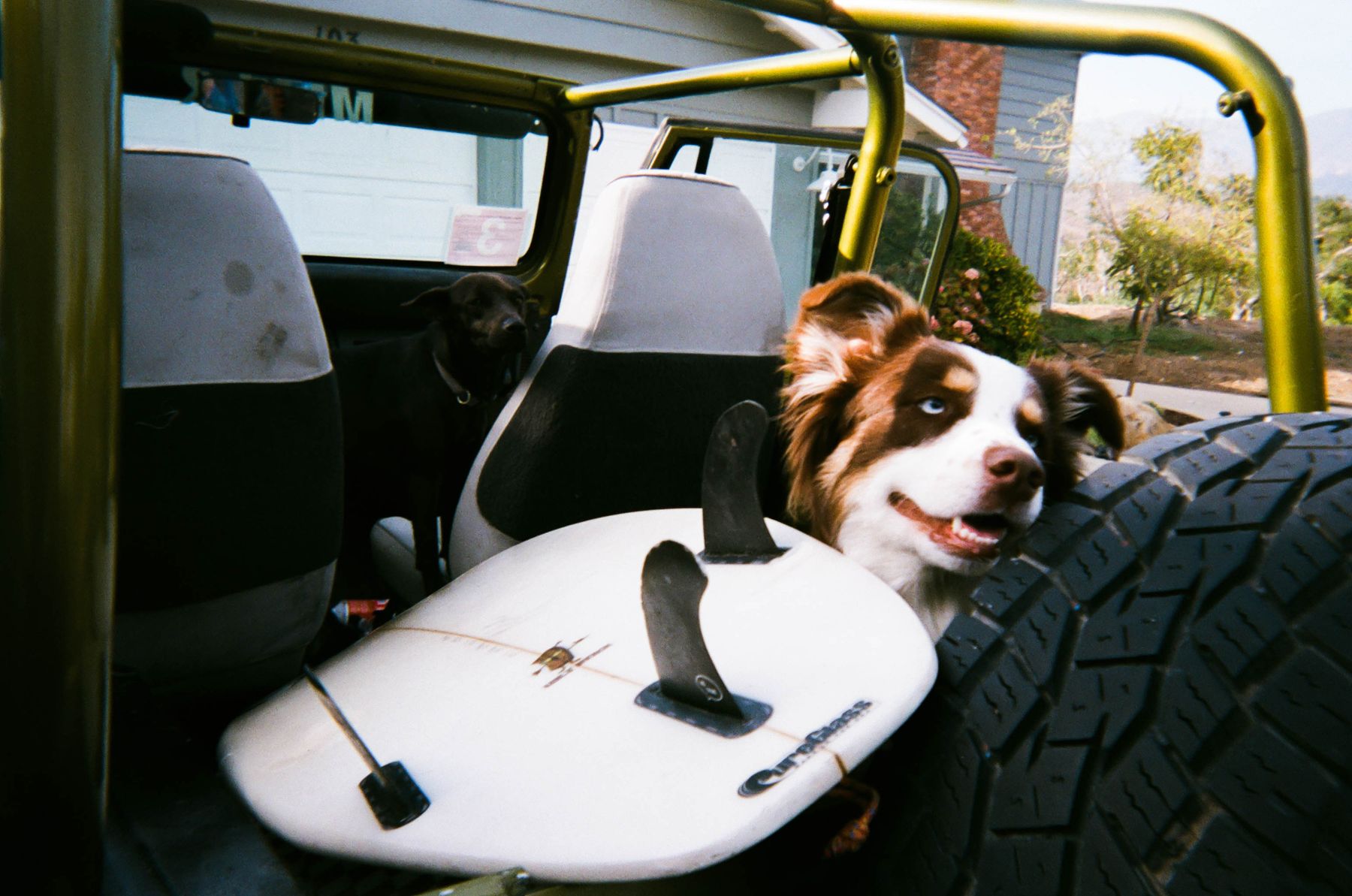 35mm film photograph by Farren Hill