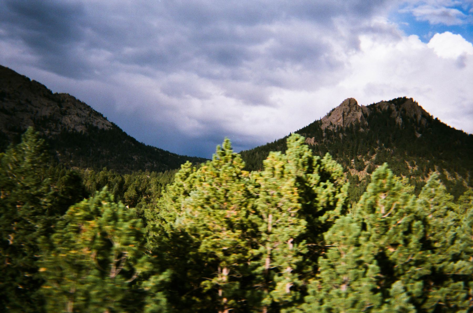 35mm film photograph by Farren Hill