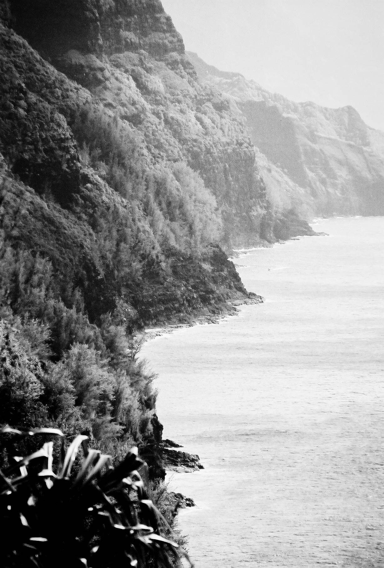 35mm film photograph by Farren Hill
