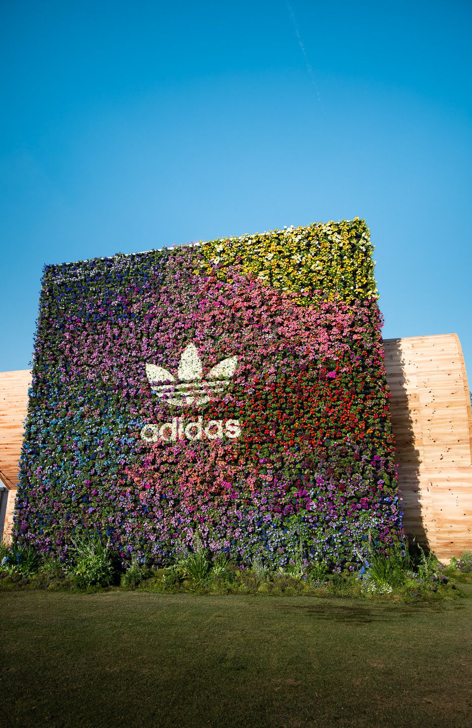 Adidas — photo 2 by Farren Hill