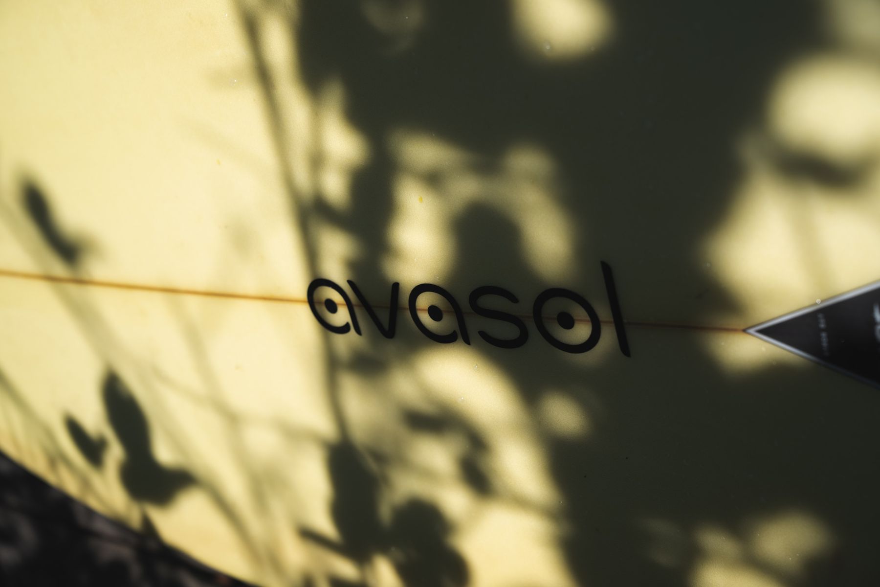 Avasol — photo 16 by Farren Hill