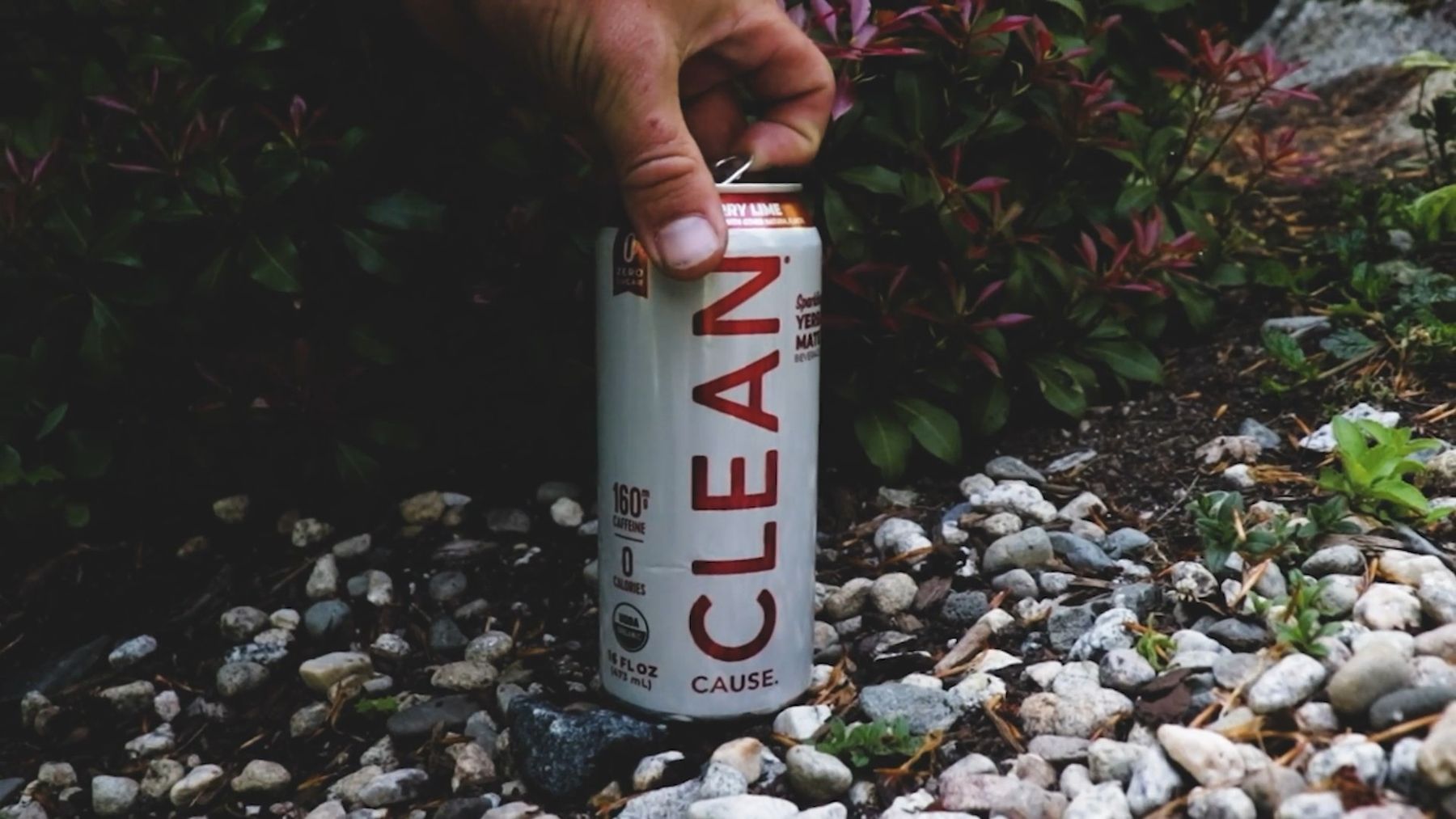 Clean Cause — photo 2 by Farren Hill