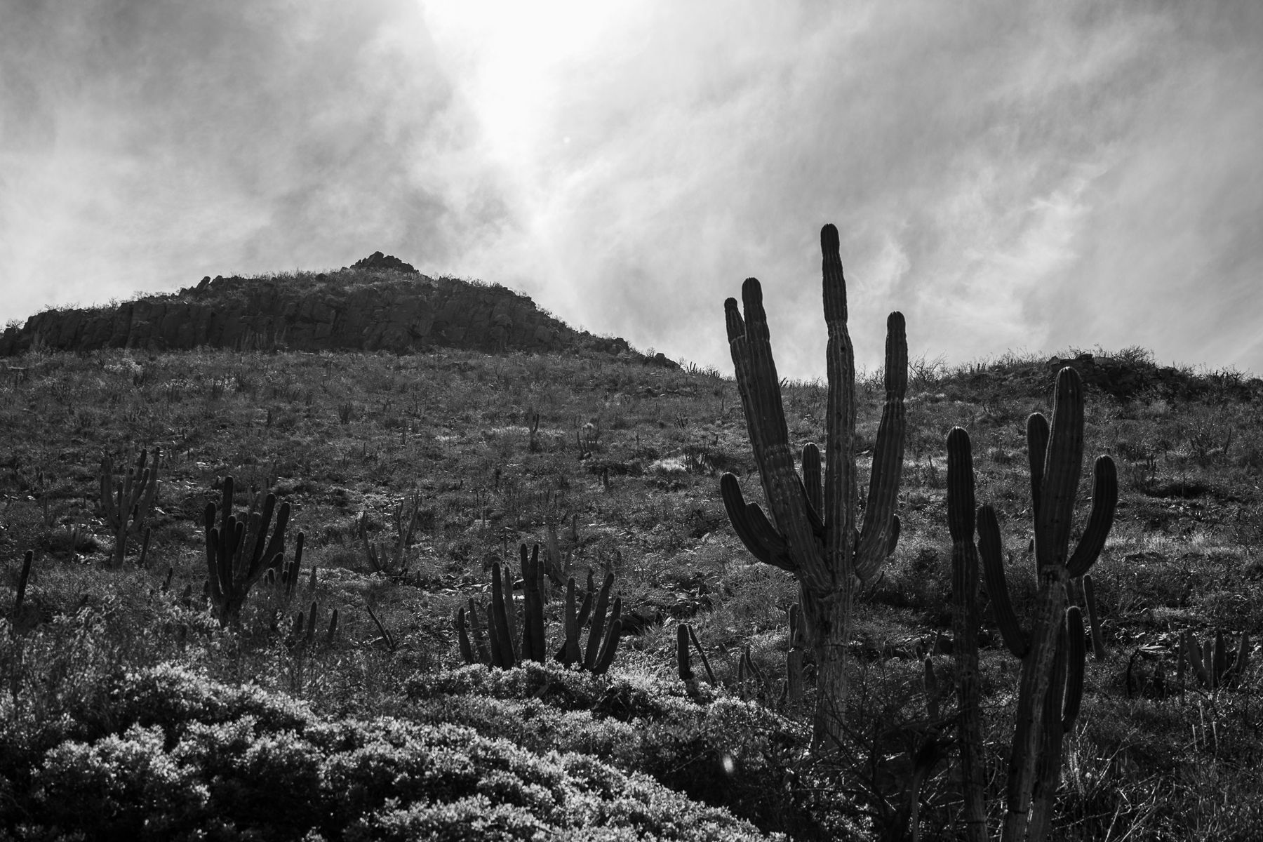 David Morin — photo 4 by Farren Hill