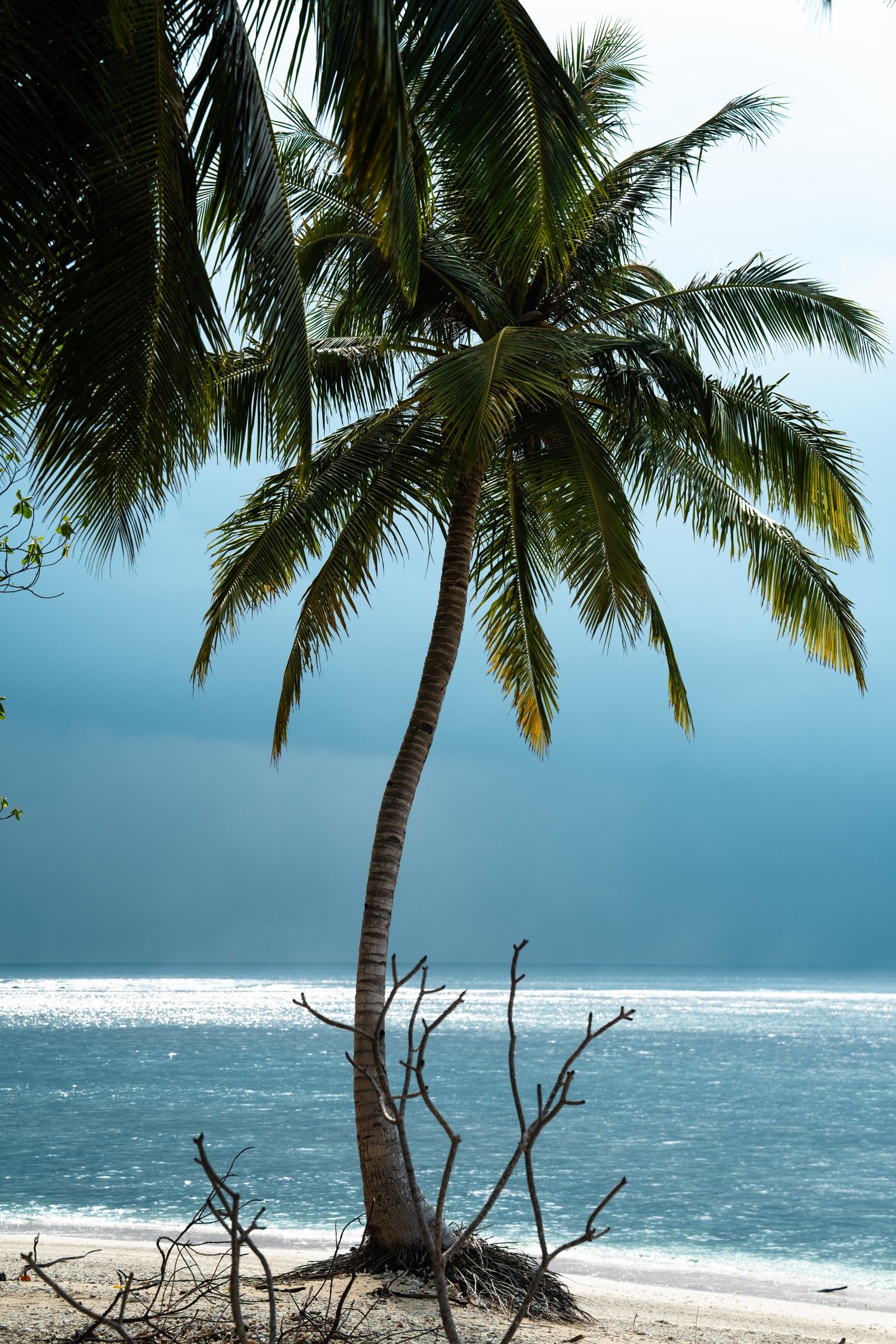 Kandui Villas — photo 8 by Farren Hill