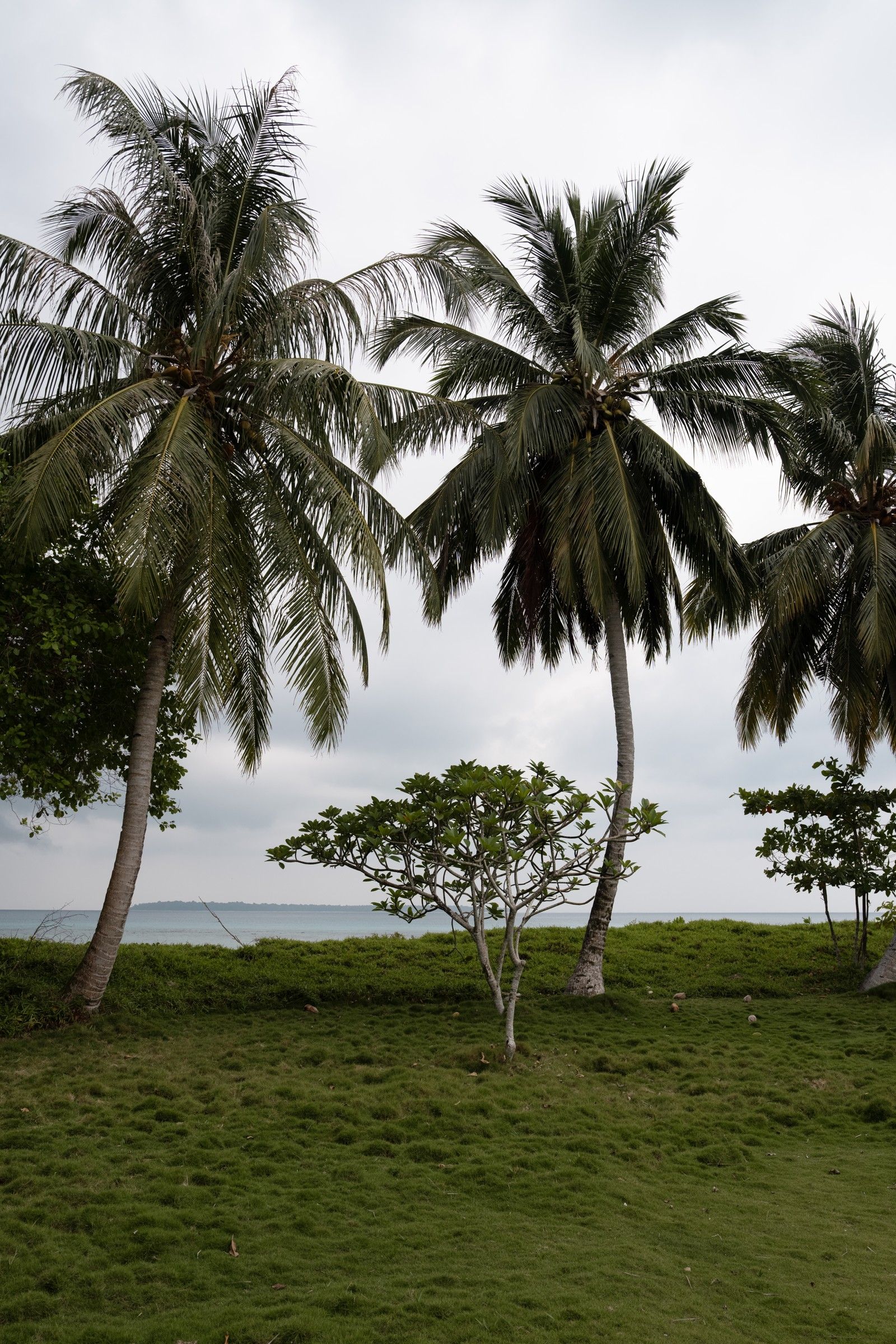 Kandui Villas — photo 9 by Farren Hill