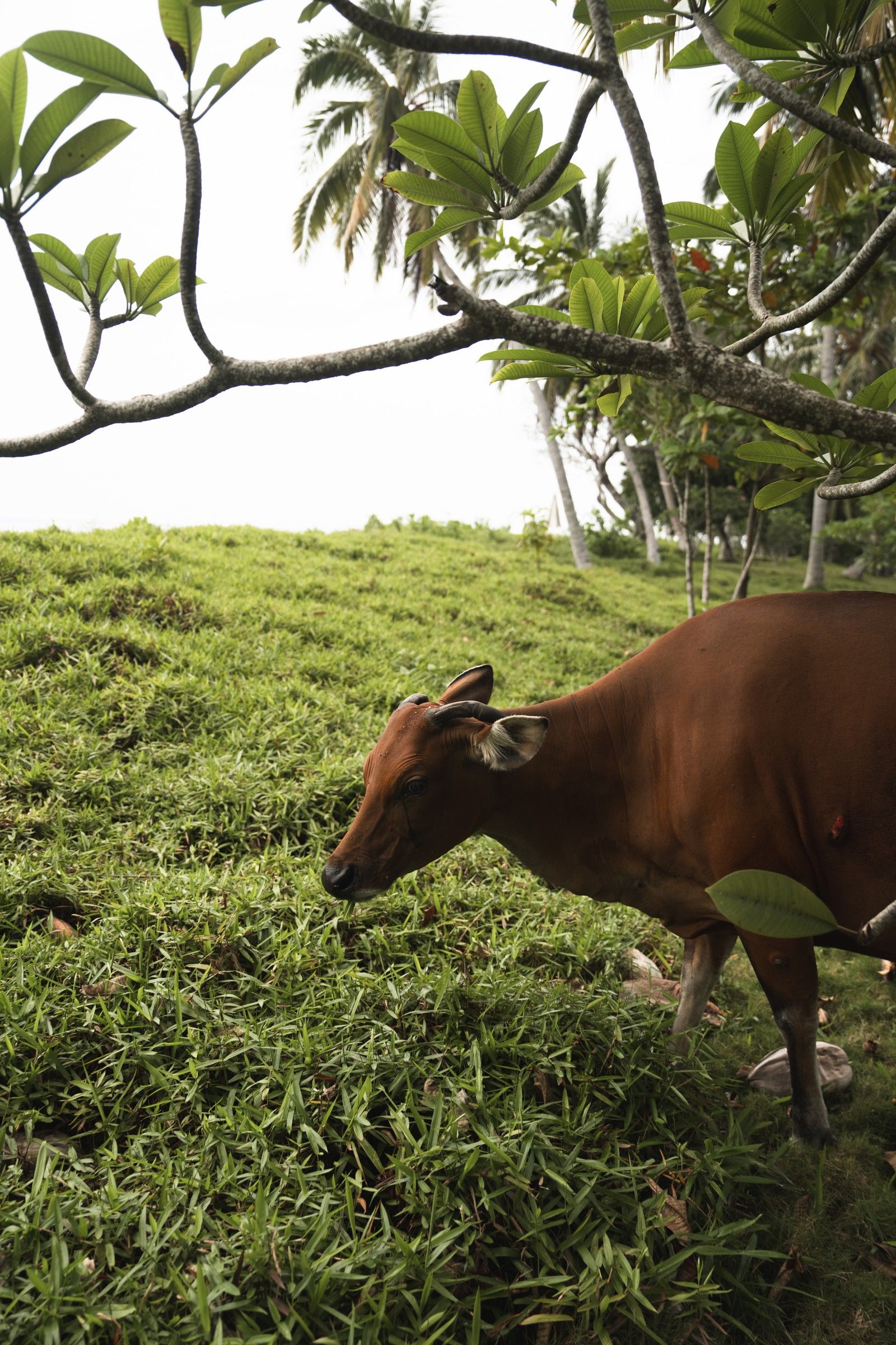 Kandui Villas — photo 10 by Farren Hill