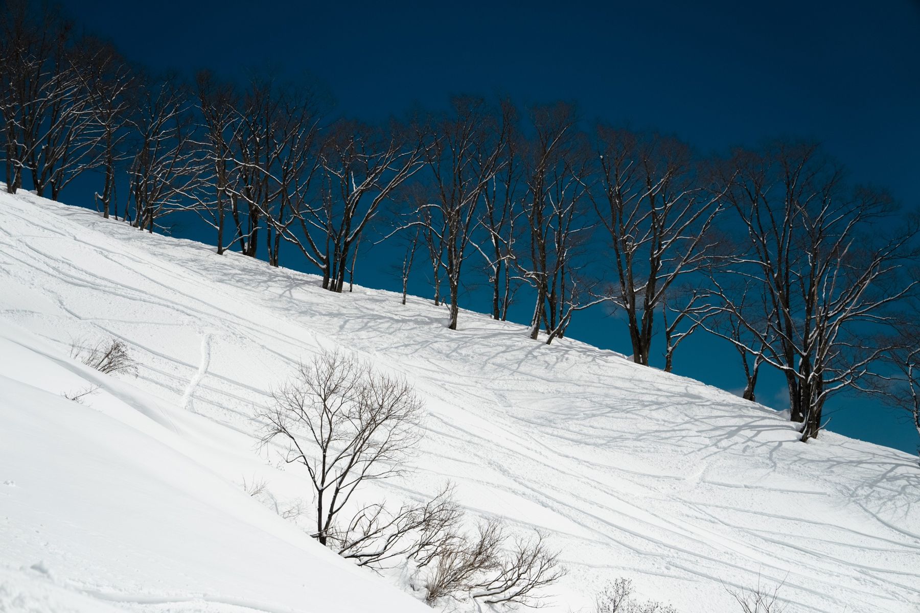 SALTT — photo 10 by Farren Hill