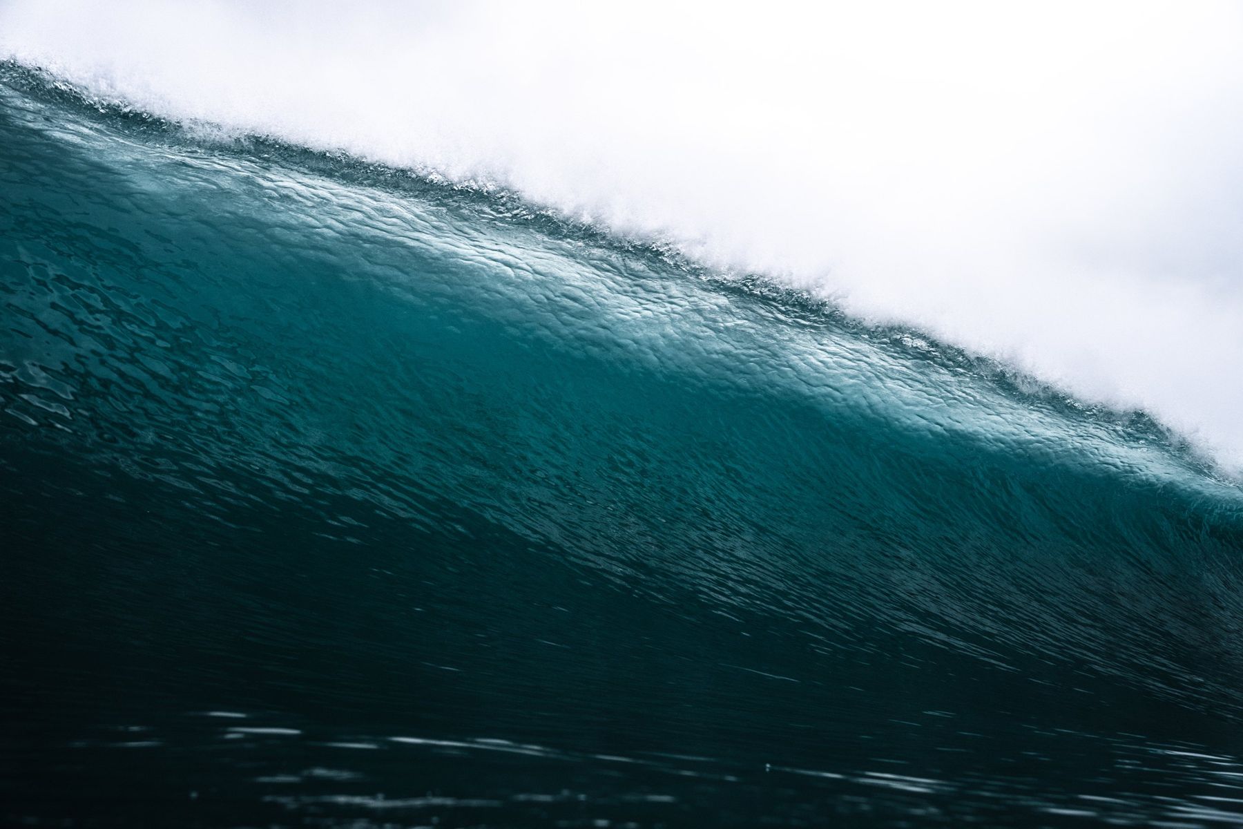 Surf Dojo — photo 3 by Farren Hill