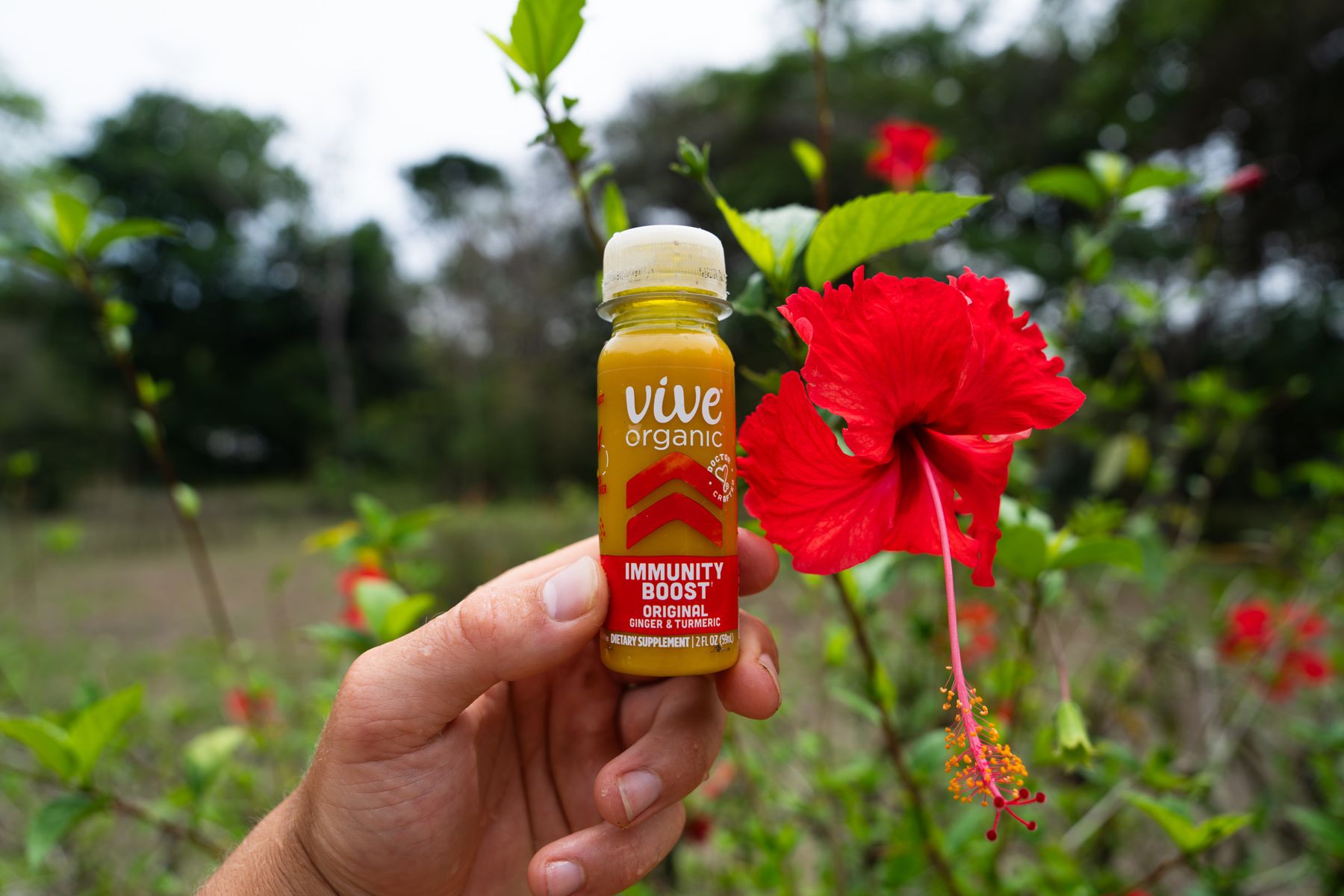 Vive Organic — photo 4 by Farren Hill