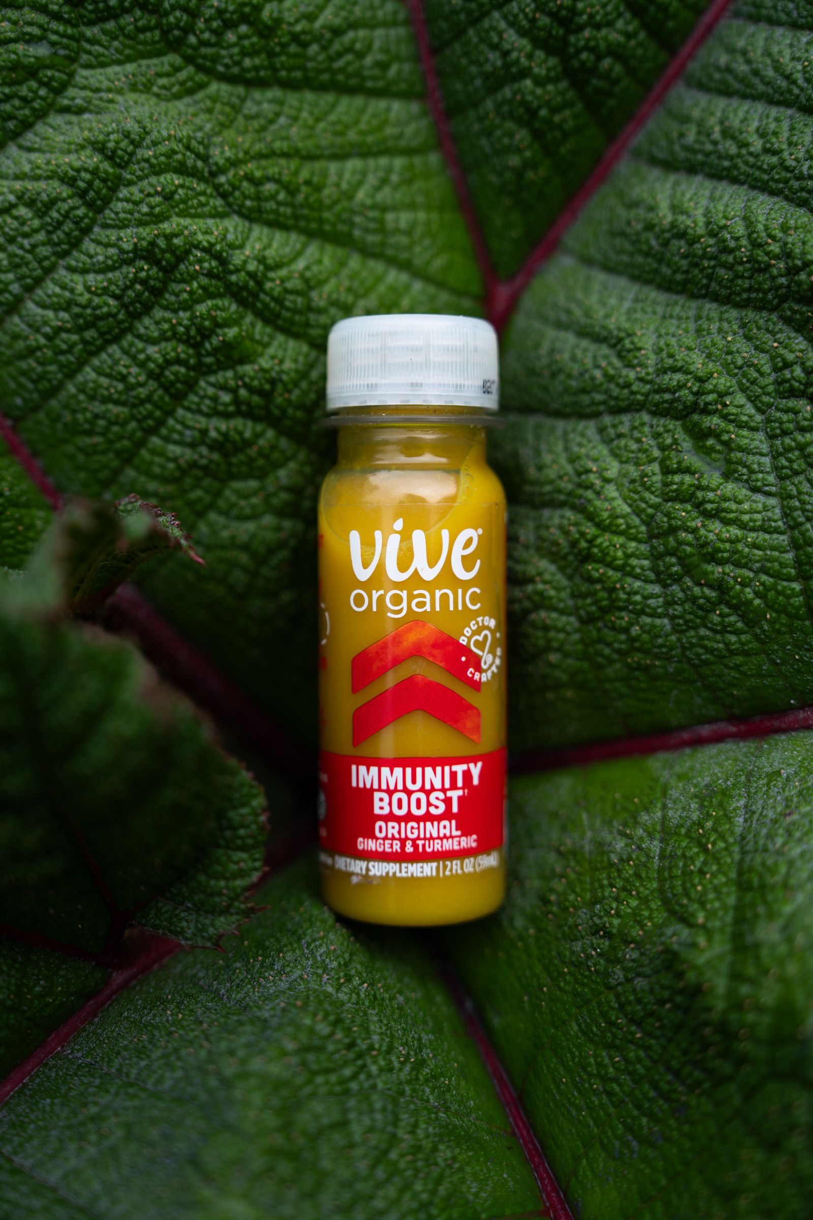 Vive Organic — photo 7 by Farren Hill